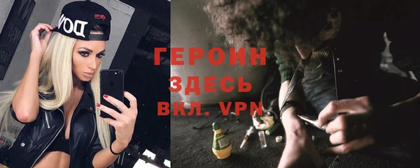 герыч Алексин