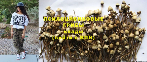 герыч Алексин