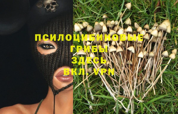 герыч Алексин