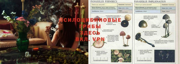 кокаин перу Алексеевка