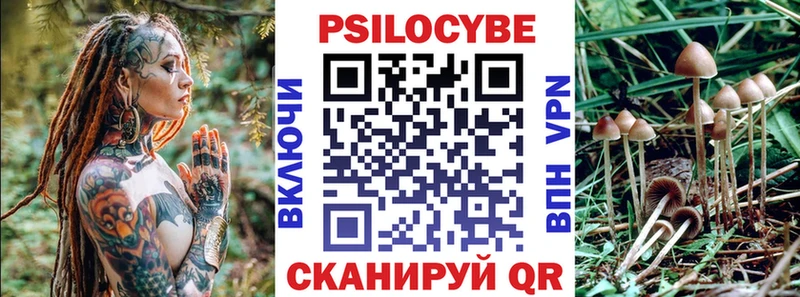 гидра онион  дарнет шоп  Родники  Галлюциногенные грибы мицелий 