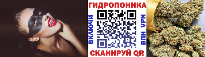 закладка  Родники  Марихуана White Widow 